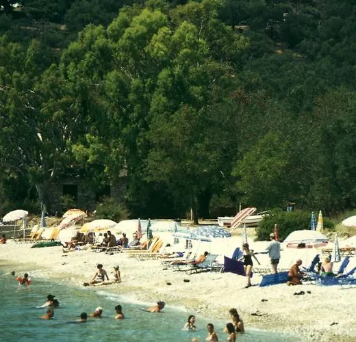 Nautilus Barbati