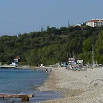 Nautilus